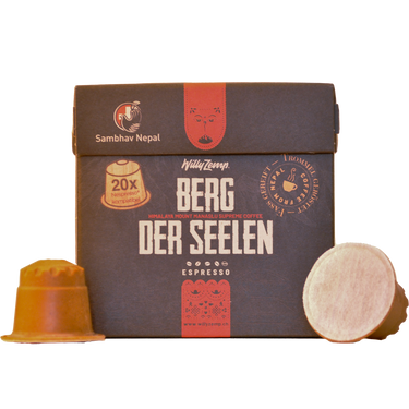 Willy Zemp - Berg der Seelen - Holzkapseln